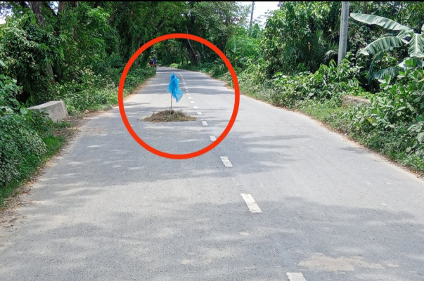 ত্রিমহনী-বাজার গোপালপুর সড়কের মাঝে উড়ছে পলিথিনের পতাকা