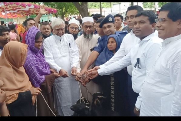 আলমডাঙ্গায় সিআইজি সদস্যদের মধ্যে গৃহপালিত পশু বিতরণকালে এমপি ছেলুন জোয়ার্দ্দার