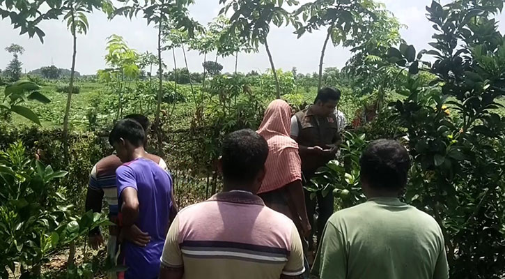 চুরি করতে এসে চাষিকে পিটিয়ে মারলেন চোরেরা