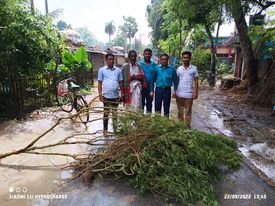 আলমডাঙ্গার বটিয়াপাড়ায় ৮টি গাঁজা গাছসহ আটক ১
