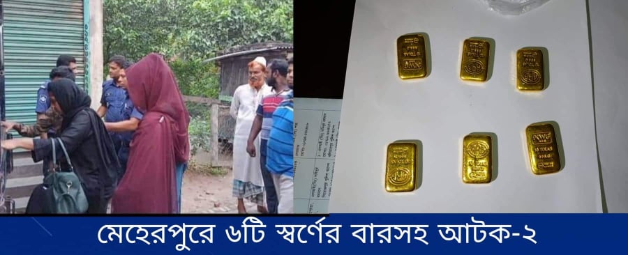 মেহেরপুরে ৬টি স্বর্ণের বারসহ দুজন আটক