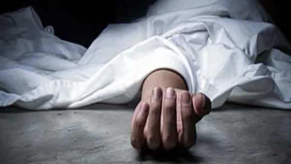 ভাইয়ের মৃত্যুর খবরে মারা গেলেন বোনও