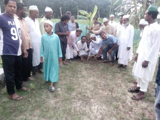 মোমিনপুর সরিষাডাঙ্গা রোমেলা খাতুন রহমানিয়া মাদ্রাসায় বৃক্ষরোপণ