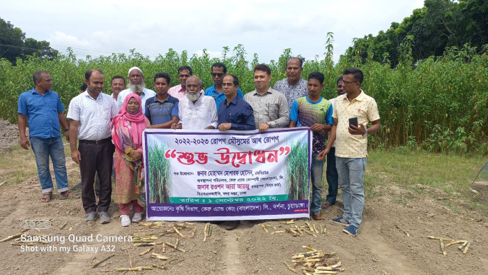 দর্শনায় কেরুজ বিভিন্ন খামারে ইক্ষু রোপনের উদ্বোধন