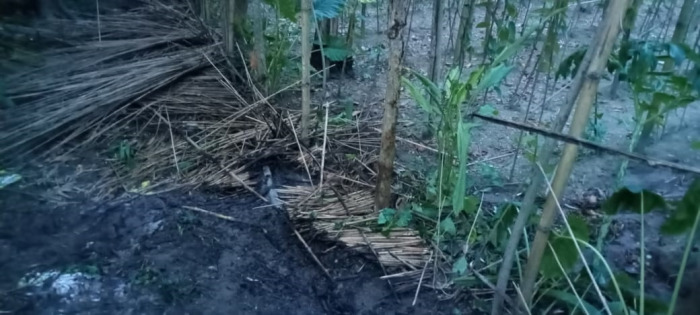 আলমডাঙ্গায় পারিবারিক শত্রুতার জেরে পানবরজে আগুন