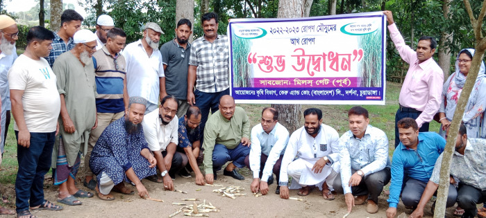 দর্শনায় ২০২২-২৩ আখ রোপণ মৌসুমের উদ্বোধন