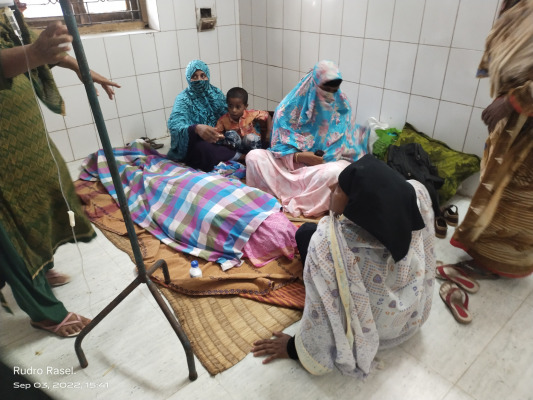 চুয়াডাঙ্গায় হারপিক পানে নারীর মৃত্যুর অভিযোগ