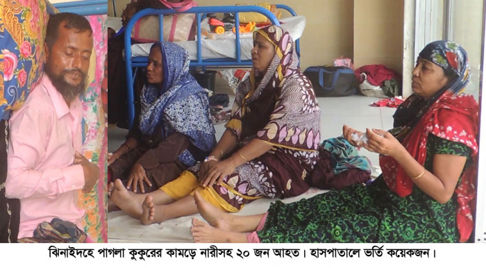 পাগলা কুকুরের কামড়ে নারীসহ ২০ জন আহত