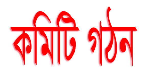 দর্শনায় বালাইনাশক অ্যাসোসিয়েশনের সাধারণ সভা ও কমিটি গঠন