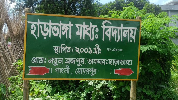 এসএসসি পাশের সনদে শিক্ষক নিয়োগ!
