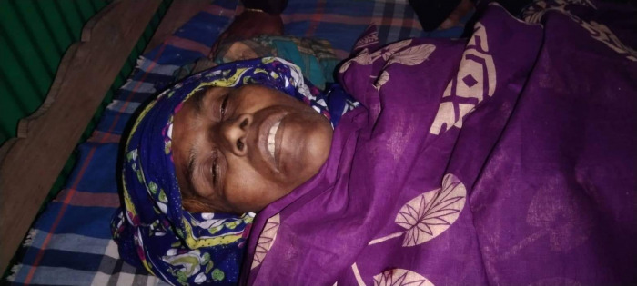 মেহেরপুরে বিদ্যুৎস্পৃষ্টে নারীর মৃত্যু