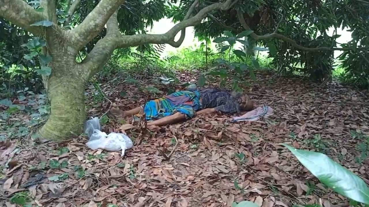 মেহেরপুরে লিচু বাগান থেকে ইজিবাইক চালকের লাশ উদ্ধার