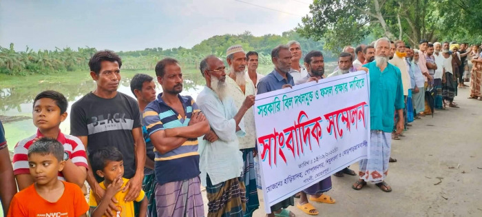 গাংনীর গোপালনগরের সরকারি বিল ও কৃষকের ফসল রক্ষায় মানববন্ধন