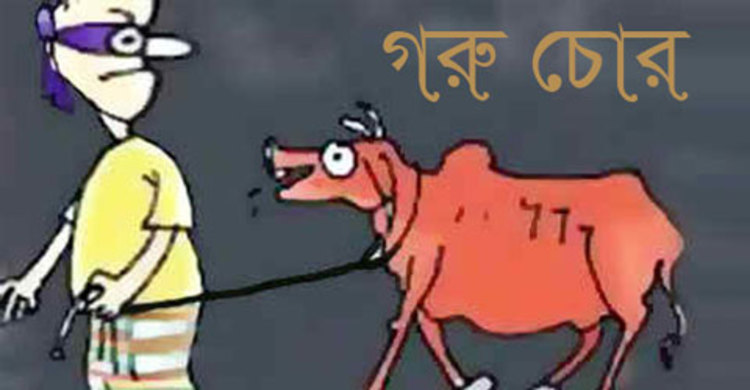 দর্শনার পরানপুরে কৃষকের বলদ গরু চুরি