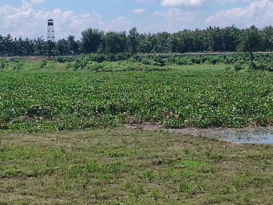দুদিন পার হলেও লাশ ফেরত দেয়নি বিএসএফ