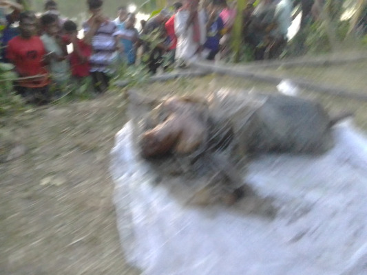 নিখোঁজের চার দিন পর কৃষকের অর্ধগলিত লাশ উদ্ধার