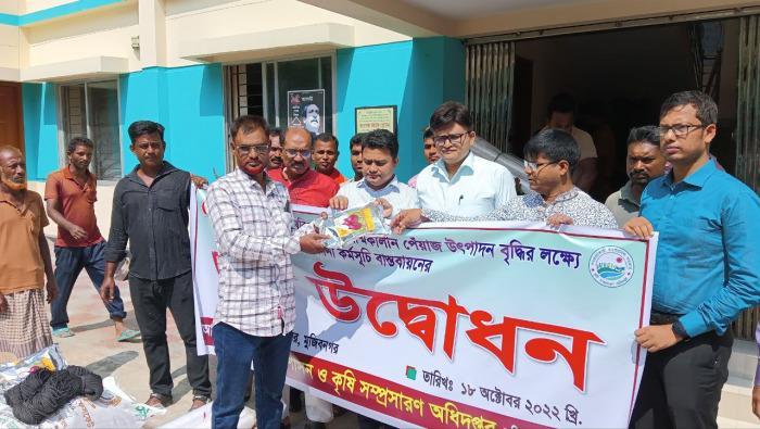 মুজিবনগর বিনামূল্যে গ্রীষ্মকালীন পেঁয়াজের বীজ ও সার বিতরণ