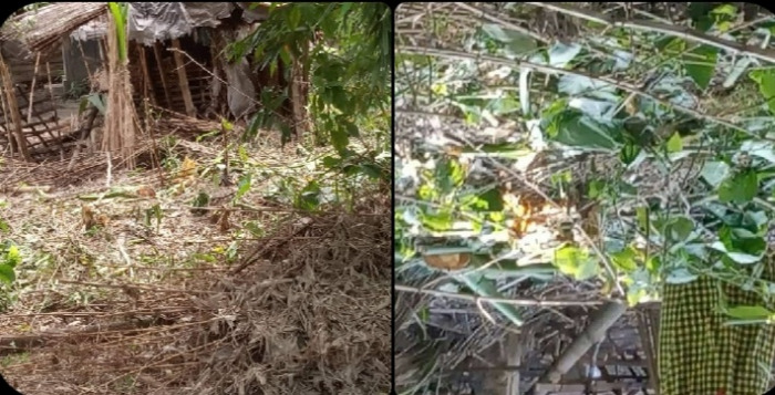 ভাংবাড়ীয়ায় জমির আগাছা পরিস্কার করতে গিয়ে সংর্ঘষ!