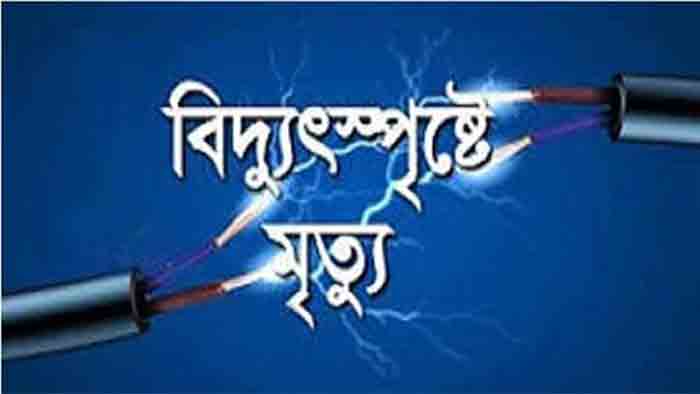 দামুড়হুদার পীরপুরকুল্লায় বিদ্যুৎস্পৃষ্টে নারীর মৃত্যু
