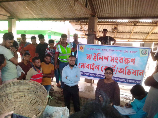 আন্দুলবাড়ীয়ায় ইলিশ মাছ জব্দ ও ব্যবসায়ীকে জরিমানা