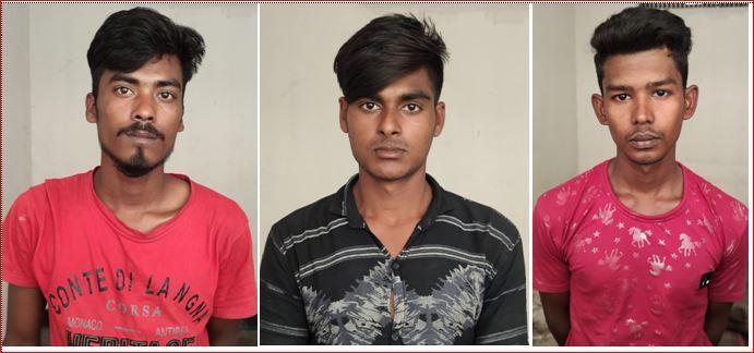 ছাগল চুরি করে বিক্রিকালে তিন চোর পাকড়াও