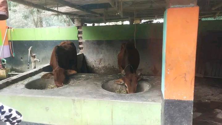 চা-দোকানি থেকে রাতারাতি হয়েছেন পৌর মেয়রের ব্যক্তিগত সহকারী