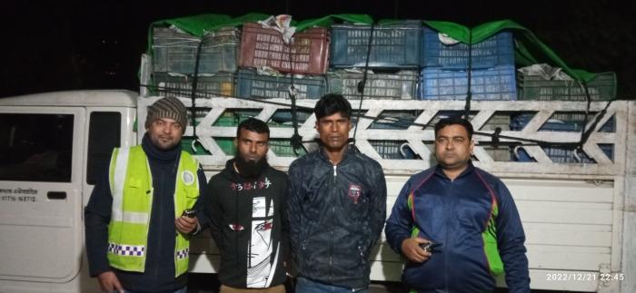 দর্শনায় পেয়ারাভর্তি ট্রাকে মিলল ফেনসিডিল, দুজন আটক