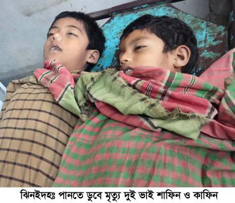 খেলতে খেলতে পুকুরে ডুবে গেল দুই ভাই