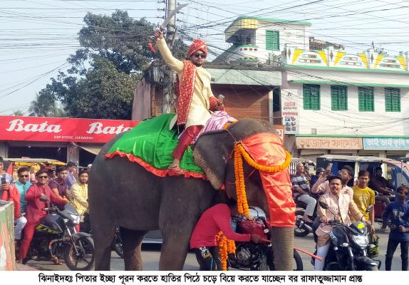 পিতার ইচ্ছায় হাতির পিঠে চড়ে যুবকের বিয়ে