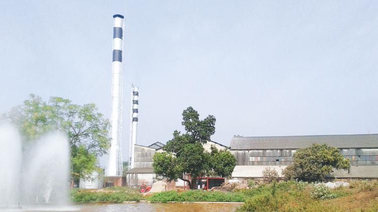 দর্শনা কেরু কোম্পানিতে আখমাড়াই কাল থেকে শুরু
