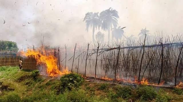 আলমডাঙ্গায় পূর্ব বিরোধে পানবরজে অগ্নিসংযোগের অভিযোগ