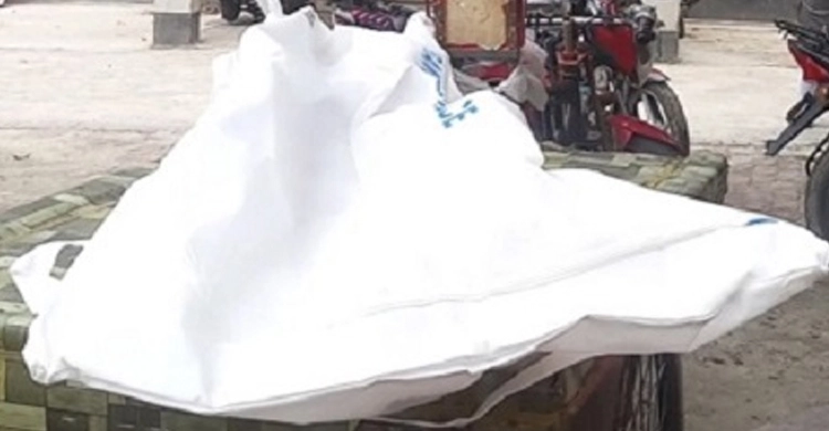 জীবননগরে দোল খাওয়ার সময় গাছচাপায় শিশুর মৃত্যু