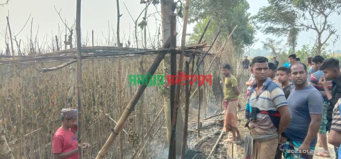 আলমডাঙ্গায় পানবরজে অগ্নিসংযোগের অভিযোগ