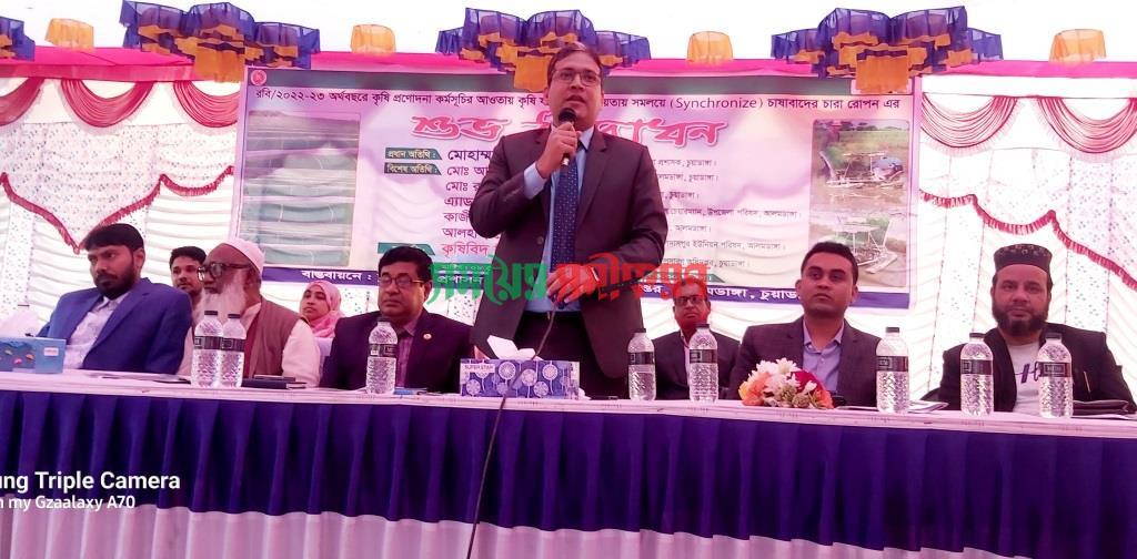আলমডাঙ্গায় সমালয় পদ্ধতিতে চারা রোপনের উদ্বোধন