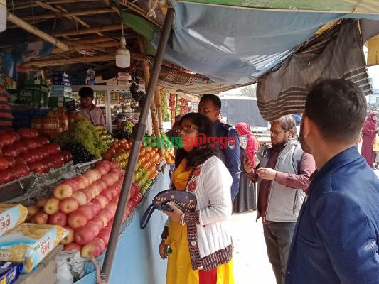 জীবননগরে ভ্রাম্যমাণ আদালতে চার প্রতিষ্ঠানে জরিমানা