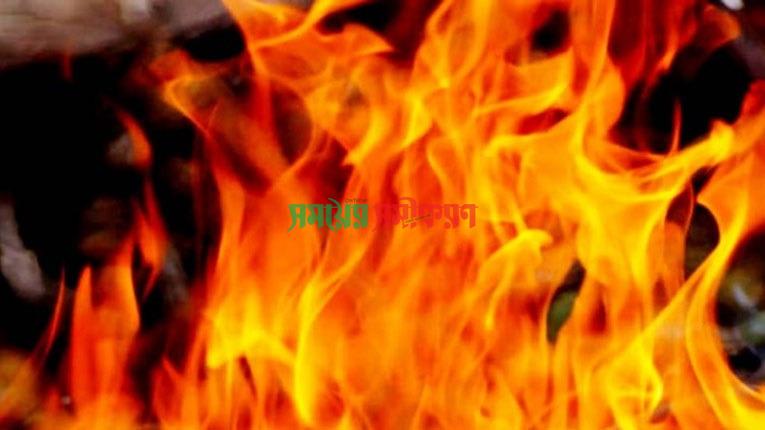 জীবননগর পেয়ারা বাগানে আগুন দেওয়ার অভিযোগ