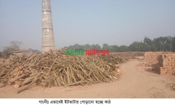 গাংনীতে পরিবেশ অধিদপ্তরের অনুমতি ছাড়াই প্রায় ৪০টি ইটভাটার কার্যক্রম চলছে