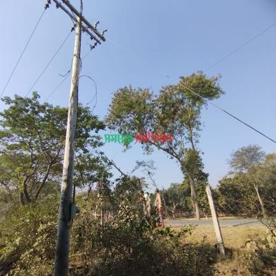 দামুড়হুদার ডুগডুগী বাজারের মেইন রাস্তার পাশ থেকে