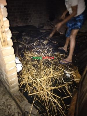 দর্শনার পরানপুরে বসতবাড়িতে অগ্নিকাণ্ড