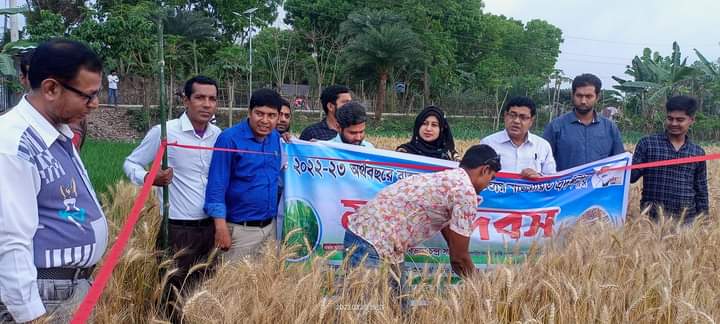 জীবননগরের মেদনীপুরে মাঠ দিবস অনুষ্ঠিত