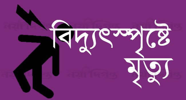আলমডাঙ্গার বেলগাছীতে বিদ্যুৎস্পৃষ্টে যুবকের মৃত্যু
