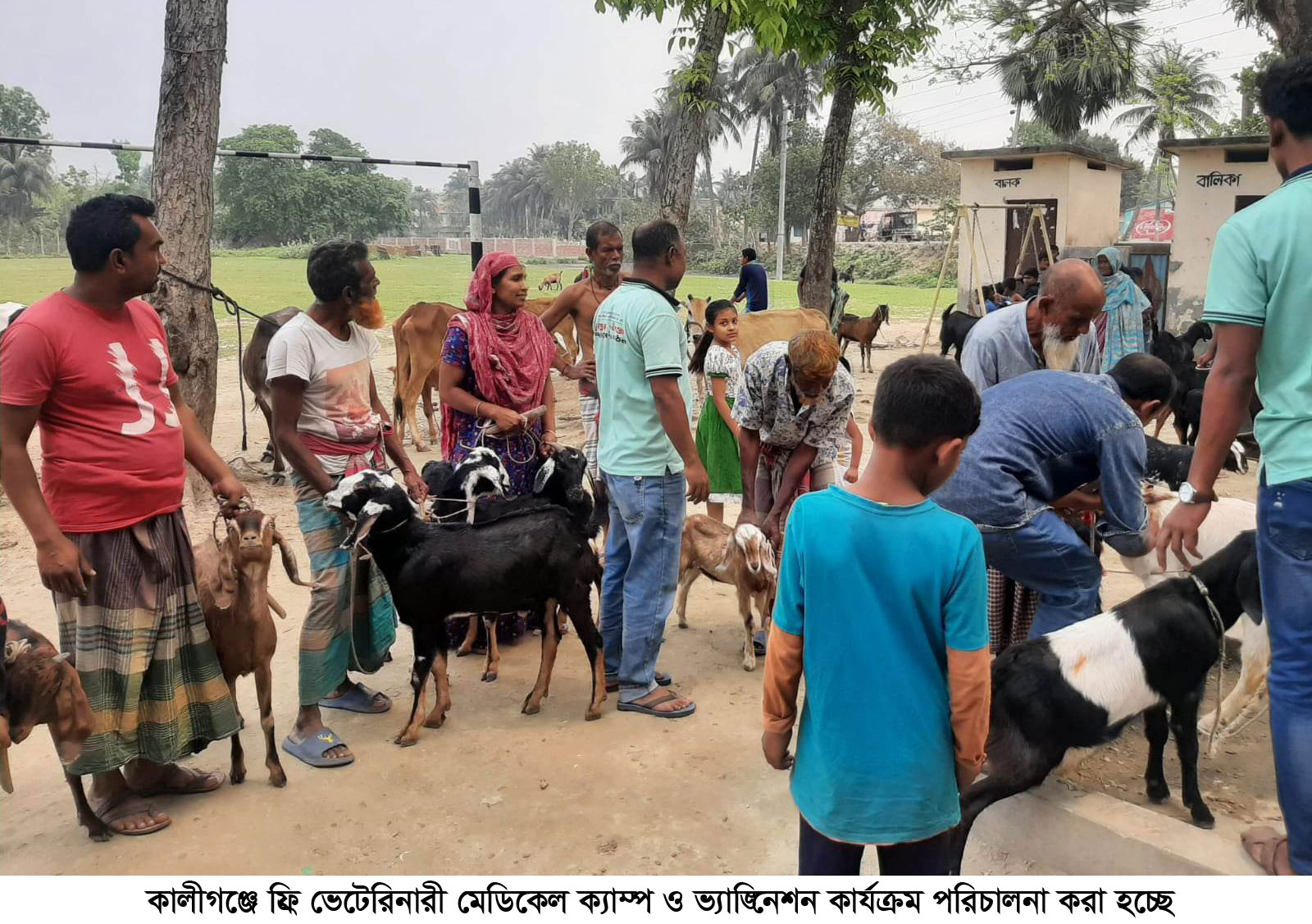 কালীগঞ্জে ফ্রি ভেটেরিনারি মেডিকেল ক্যাম্প ও ভ্যাক্সিনেশন কার্যক্রম