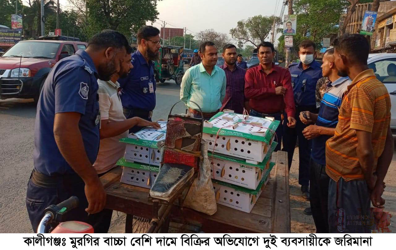 মুরগীর বাঁচ্চা বেশি দামে বিক্রি করায় দুই ব্যবসায়ীকে জরিমানা