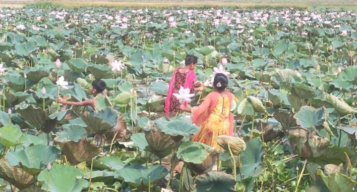 ঈদের ছুটিতে দর্শনার্থীদের উপচে পড়া ভিড়