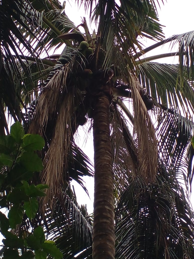 আলমডাঙ্গায় থানায় অভিযোগ করায় বাদীকে প্রাণনাশের হুমকি