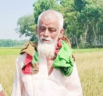 দামুডহুদায় কৃষকের দুই বিঘা জমির ধান বিনষ্টের অভিযোগ