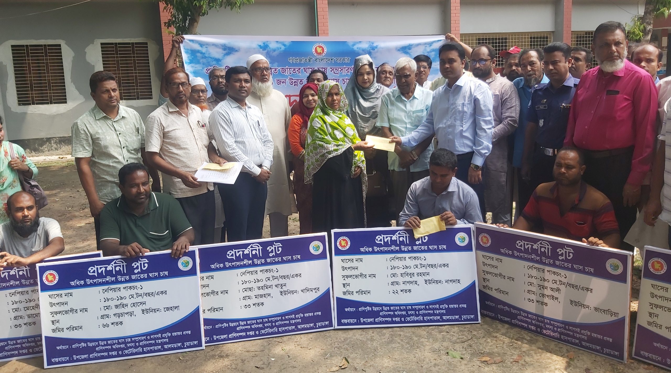 আলমডাঙ্গায় খামারীদের মধ্যে উন্নয়ন জাতের ঘাস ও অনুদান বিতরণ