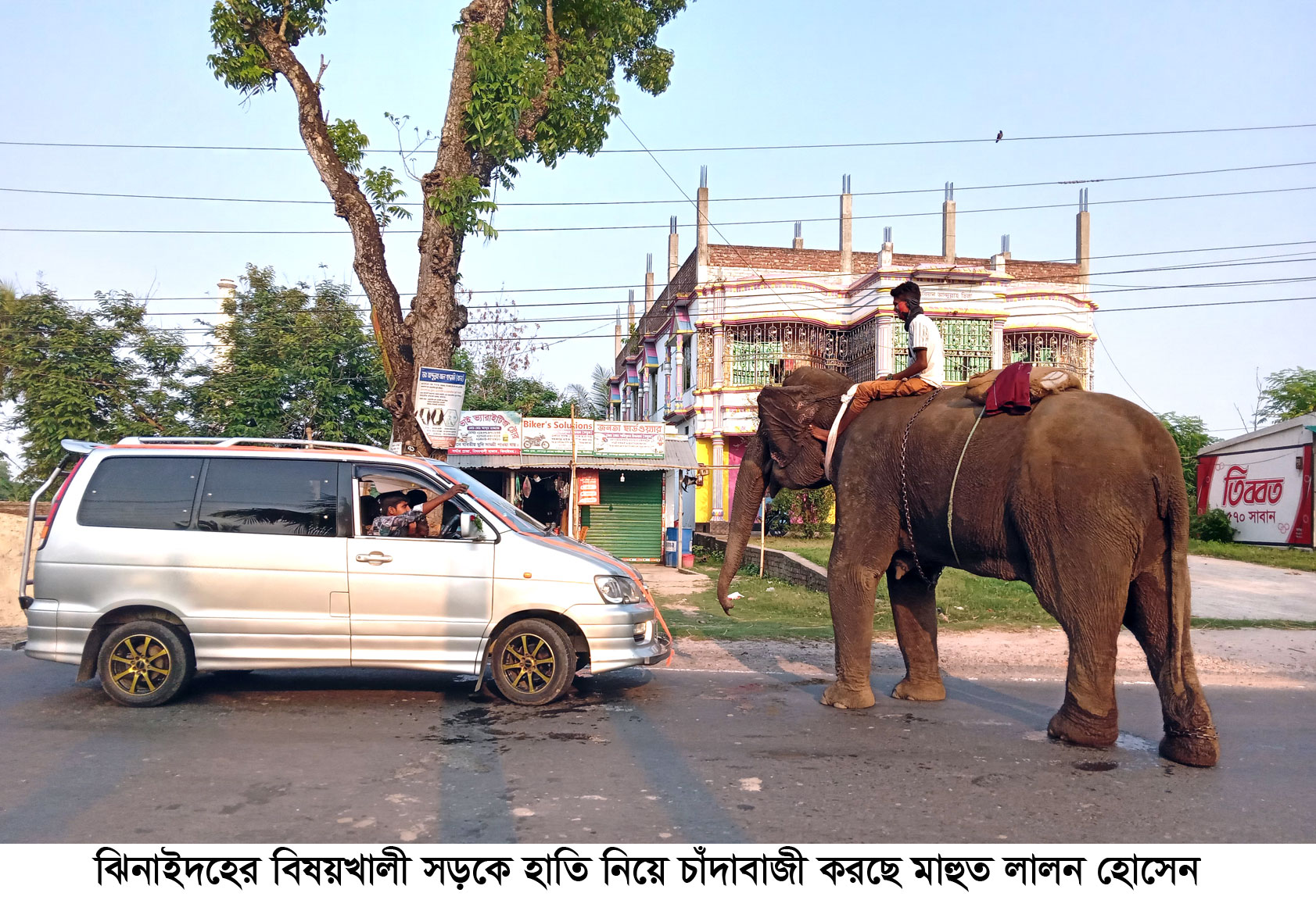 ঝিনাইদহের সড়ক মহাসড়কে হাতি নিয়ে চাঁদাবাজি