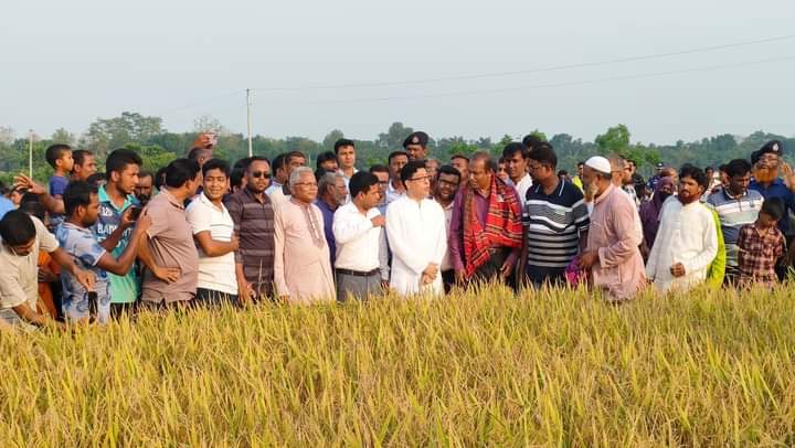 আমঝুপিতে শস্য কর্তন ও কৃষক সমাবেশ
