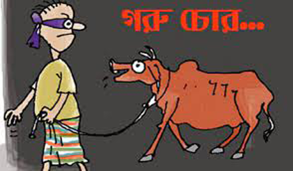 আলমডাঙ্গায় রাতের আঁধারে শিকল কেটে দুটি গরু চুরি
